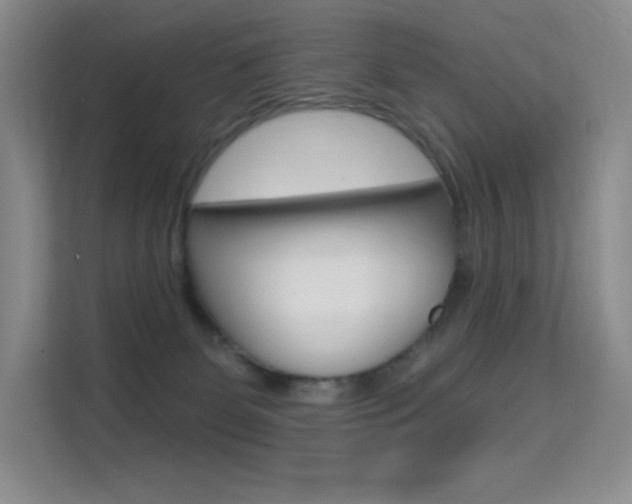 X0000114730131200910211110