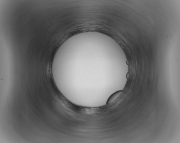 X0000114730134200910211110