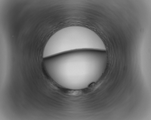 X0000114730135200910211110