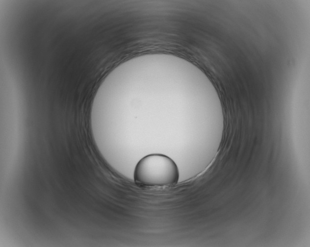 X0000114730136200910211110