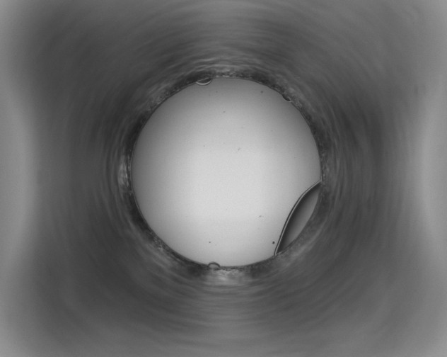 X0000114730137200910211110