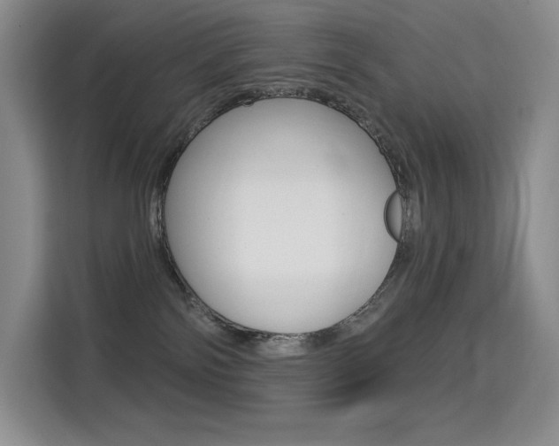 X0000114730138200910211110