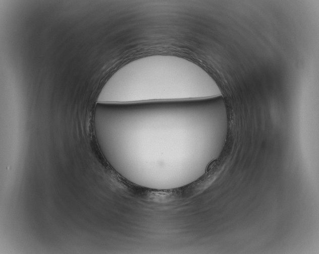 X0000114730139200910211110