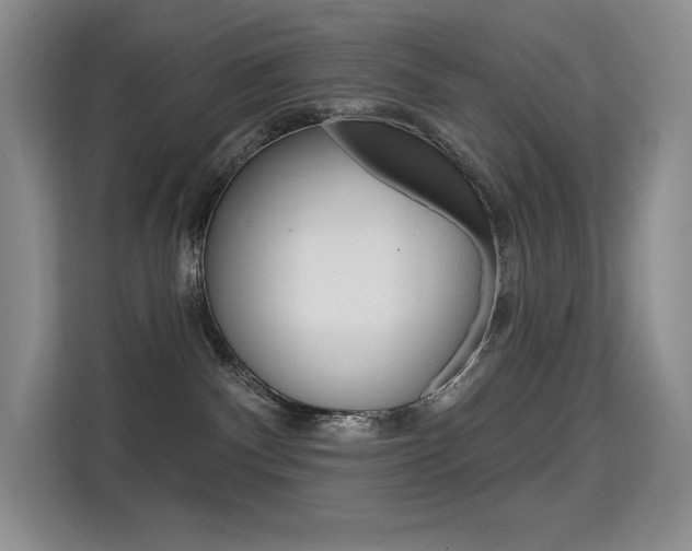 X0000114730140200910211110