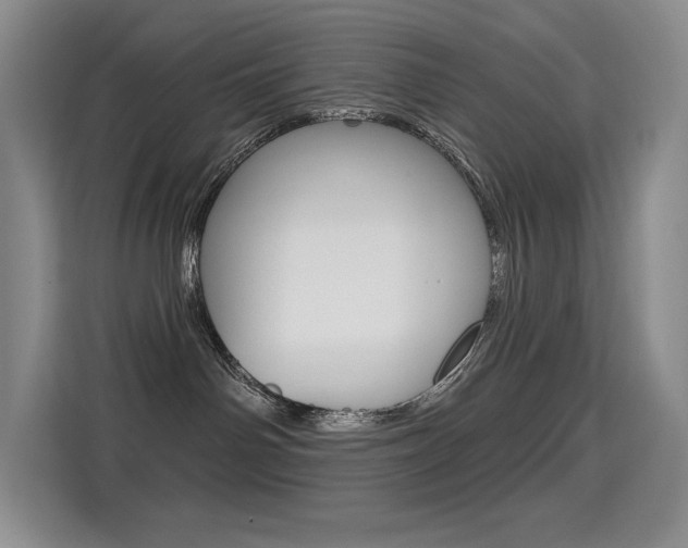 X0000114730142200910211110