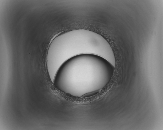 X0000114730144200910211110