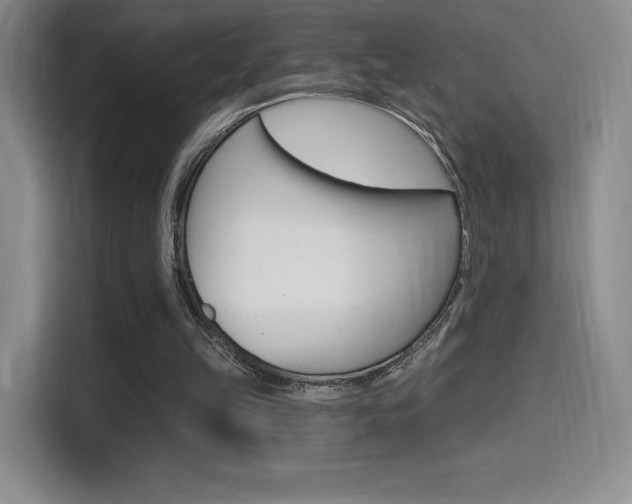 X0000114730149200910211109