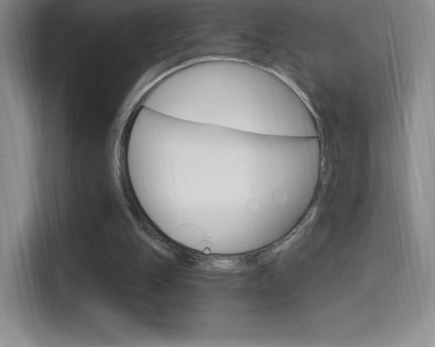 X0000114730151200910211110