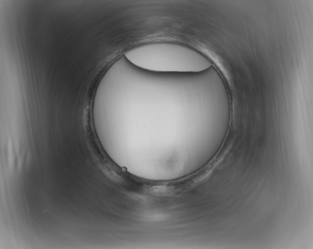 X0000114730153200910211110