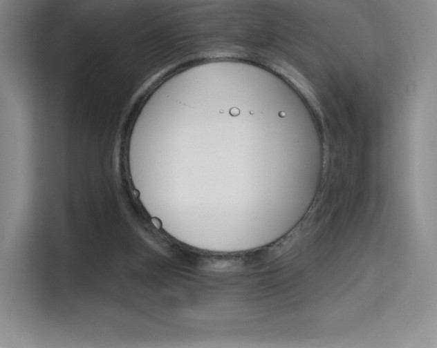 X0000114730155200910211110