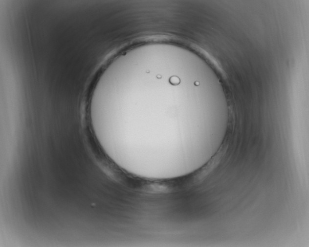 X0000114730159200910211110