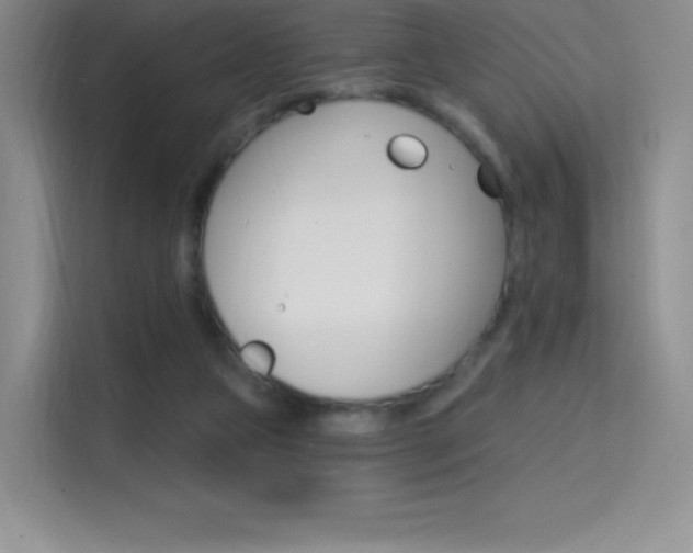 X0000114730161200910211110