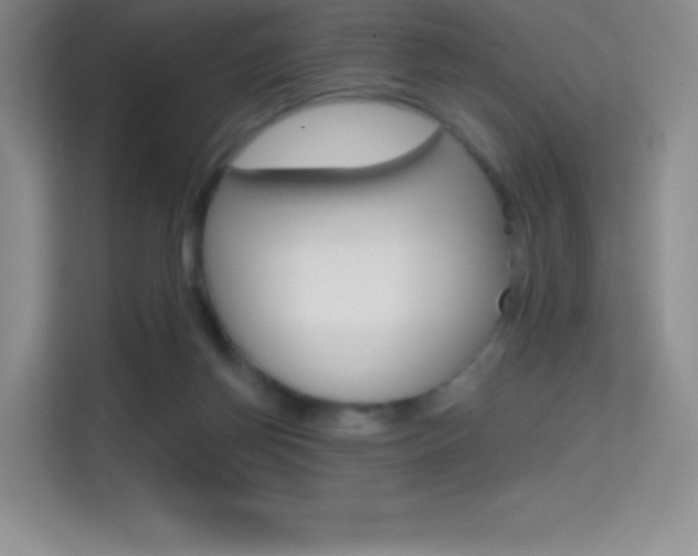 X0000114730166200910211110
