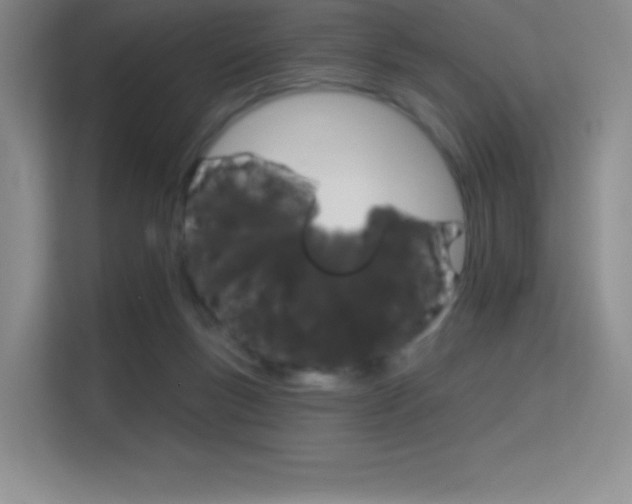 X0000114730167200910211110
