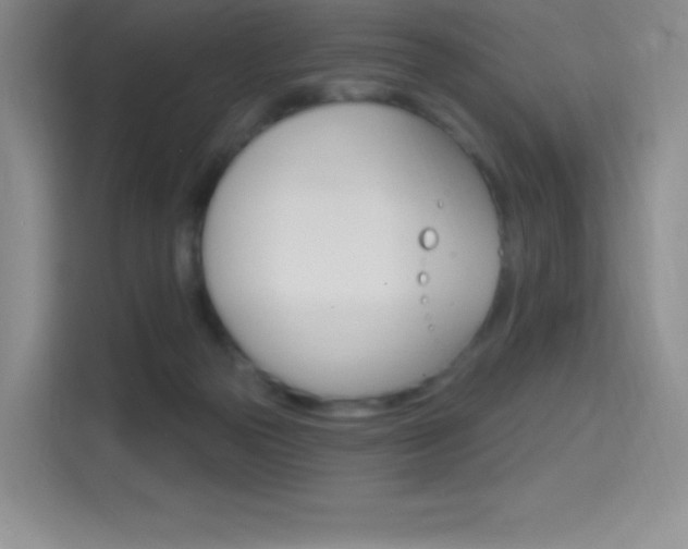 X0000114730169200910211110