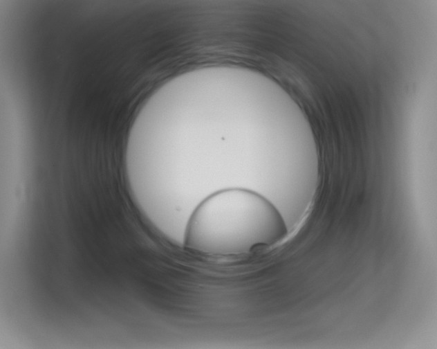 X0000114730174200910211110