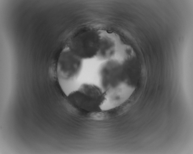 X0000114730181200910211110