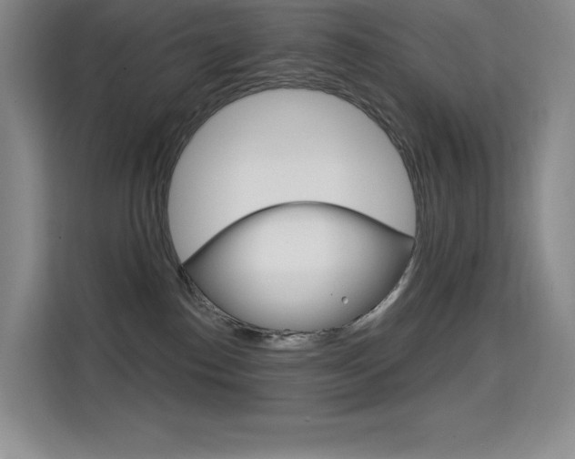 X0000114730186200910211110