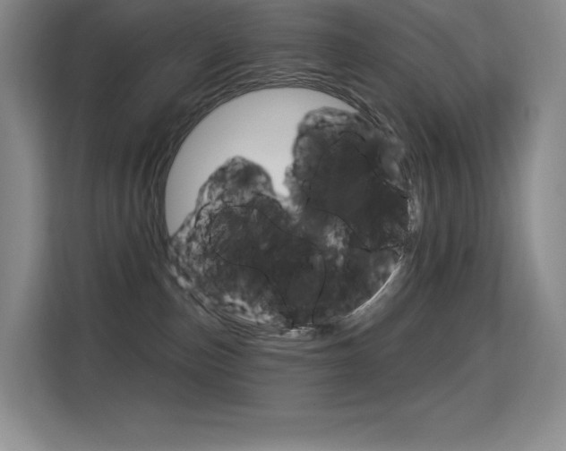 X0000114730187200910211110