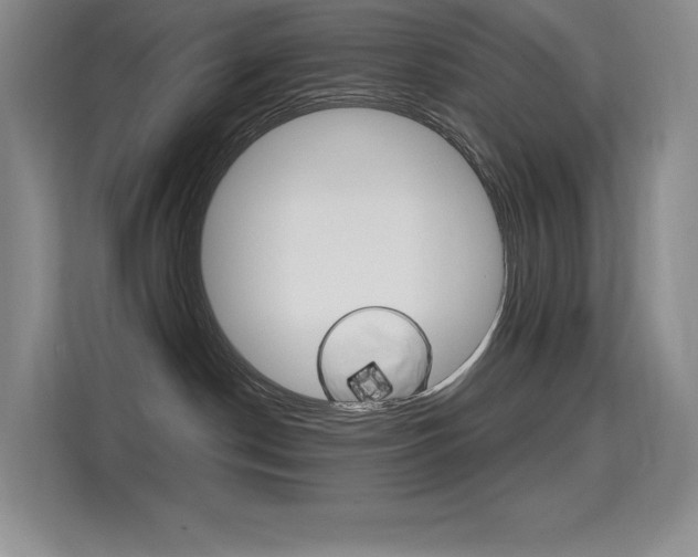 X0000114730190200910211110