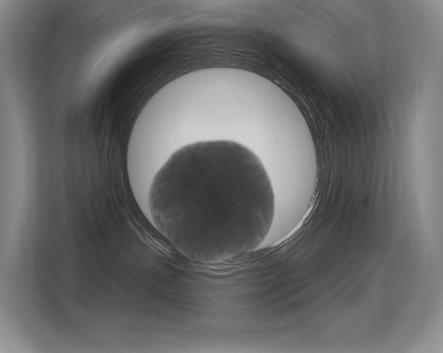 X0000114730191200910211110