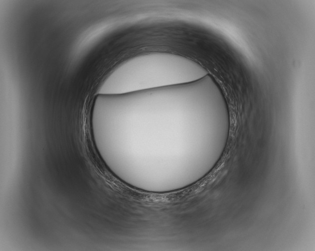 X0000114730194200910211109
