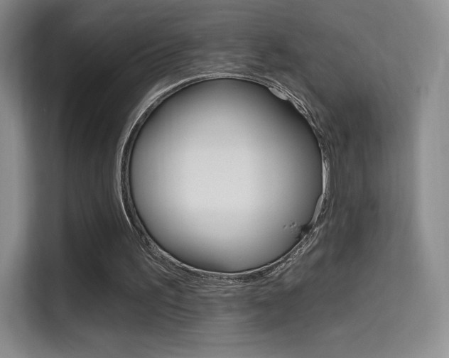 X0000114730195200910211109