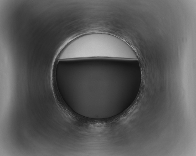 X0000114730196200910211109