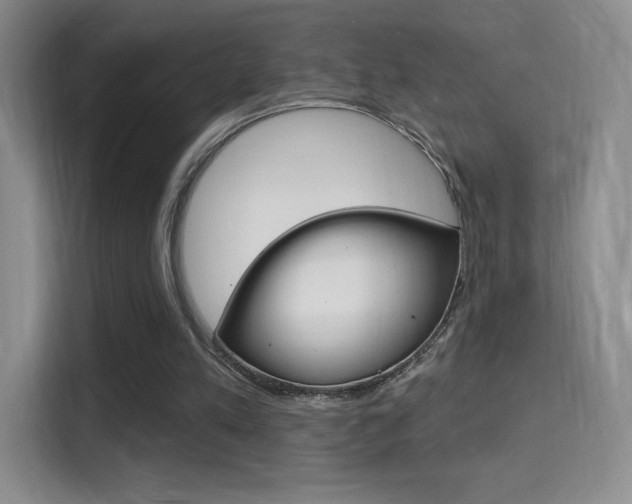 X0000114730197200910211109