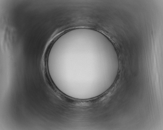 X0000114730198200910211109