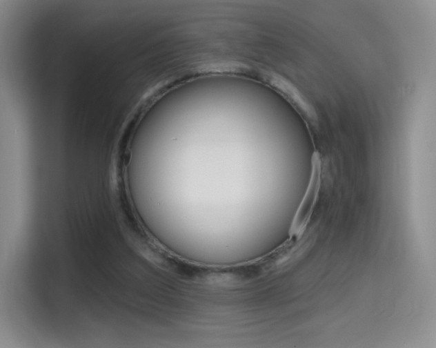 X0000114730203200910211109