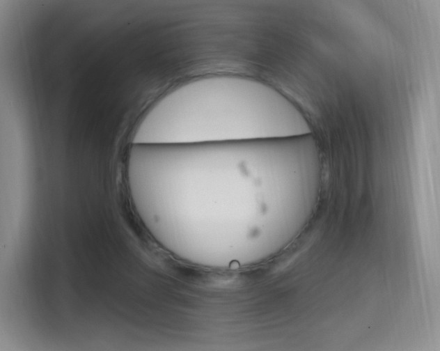 X0000114730206200910211109