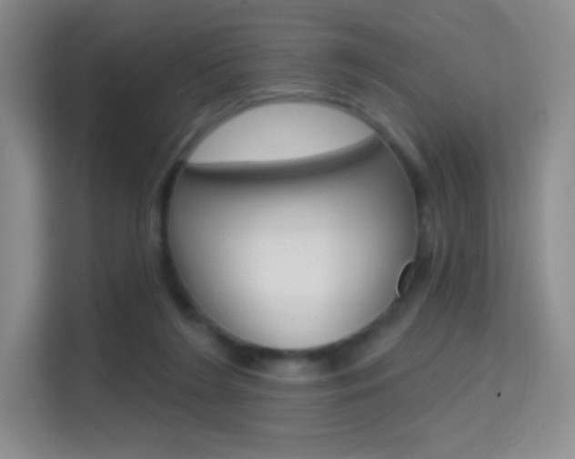 X0000114730212200910211109