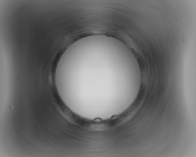 X0000114730213200910211109