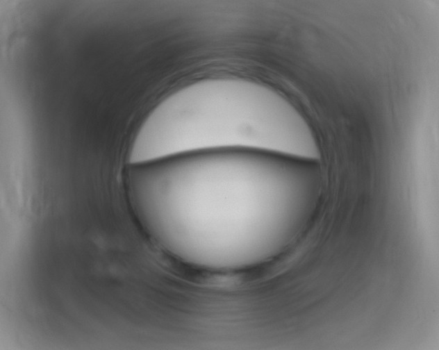 X0000114730217200910211109