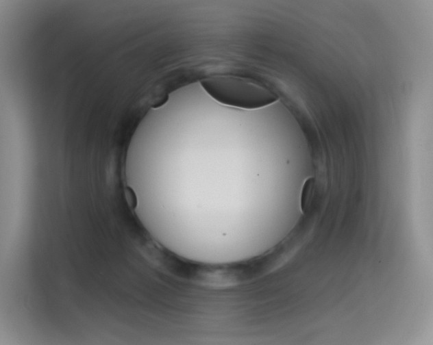 X0000114730221200910211109