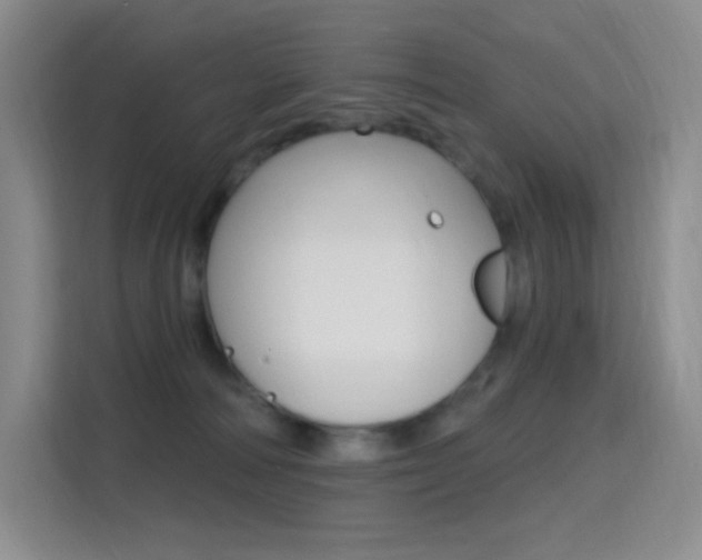 X0000114730226200910211109
