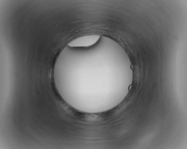 X0000114730230200910211109