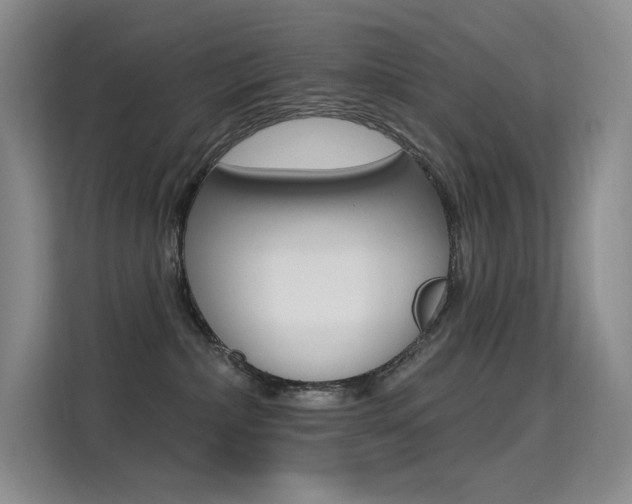 X0000114730236200910211109