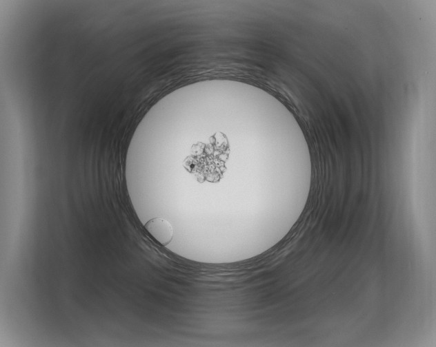 X0000114730237200910211109