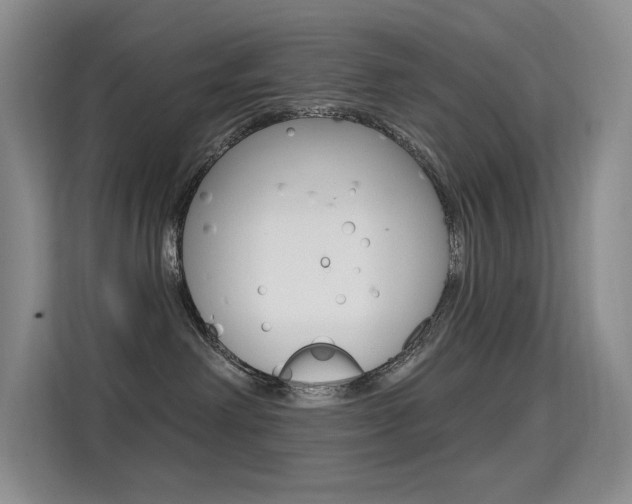 X0000114730238200910211109