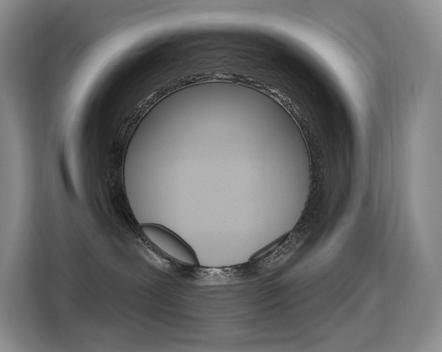 X0000114730239200910211109
