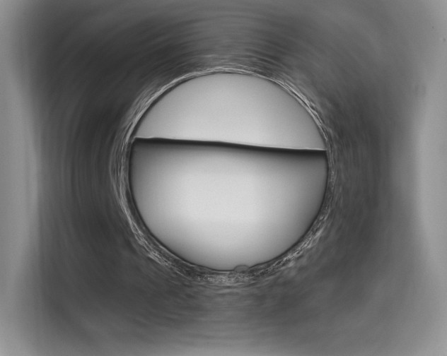 X0000114730241200910211108