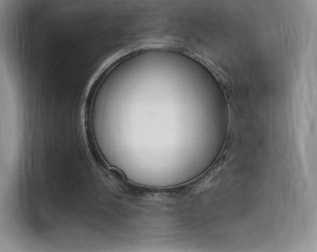 X0000114730244200910211108