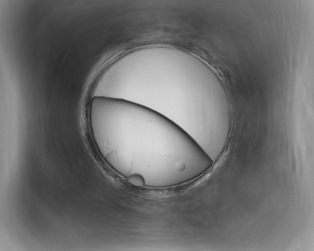 X0000114730245200910211108