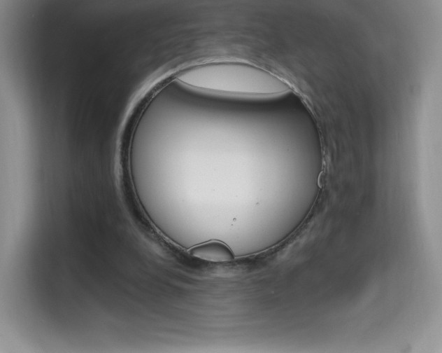X0000114730248200910211108