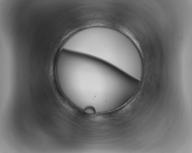 X0000114730249200910211108