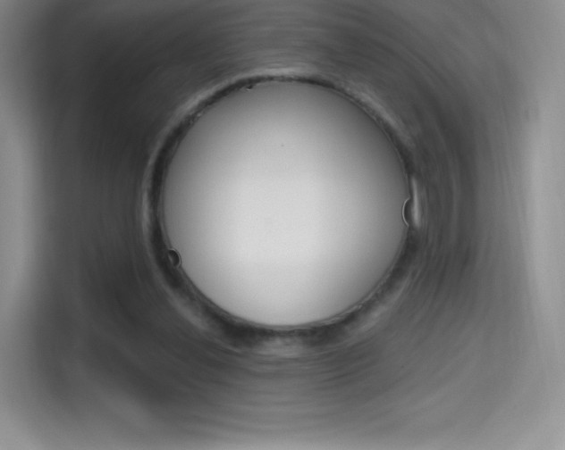 X0000114730252200910211108