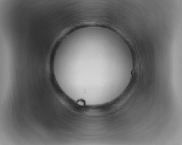 X0000114730256200910211108