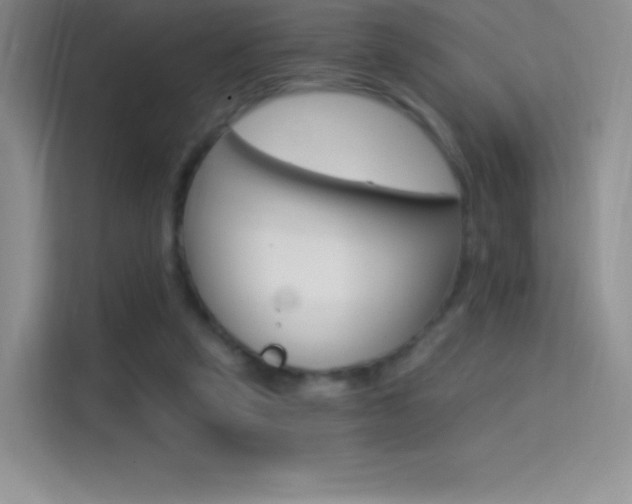 X0000114730257200910211108